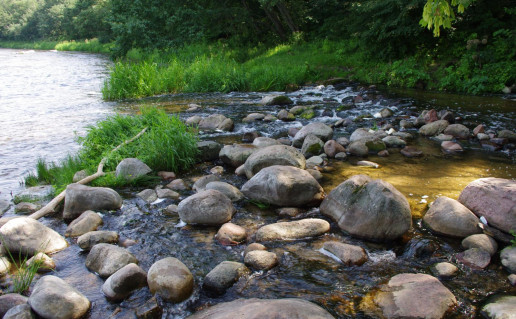 9_Saides ir Neries santaka.jpg